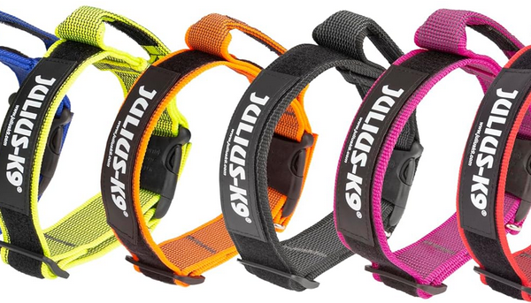 JULIUS-K9 Color&Gray Collar 50mm Green